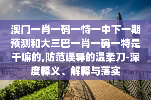 澳門一肖一碼一恃一中下一期預(yù)測(cè)和大三巴一肖一碼一特是干嘛的,防范誤導(dǎo)的溫柔刀-深度釋義、解釋與落實(shí)